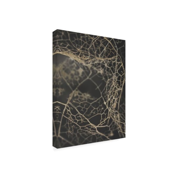 Design Fabrikken 'Leaf Skeleton Dark Fabrikken' Canvas Art,24x32